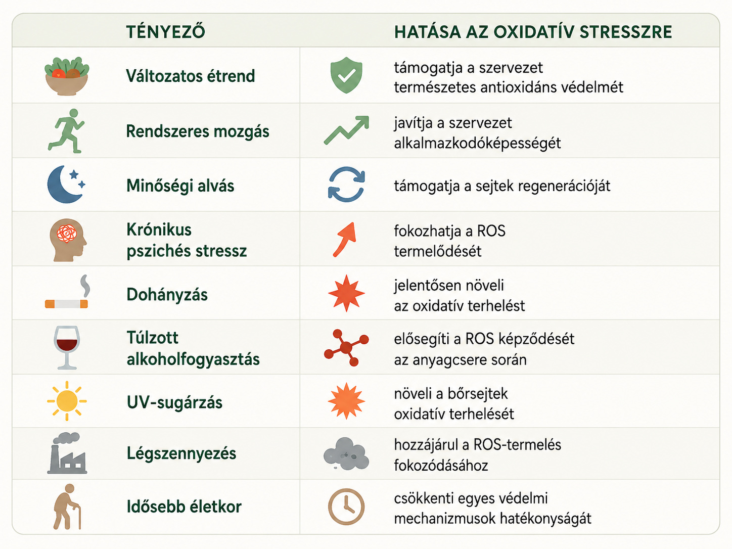 Az oxidatív stressz tényezői